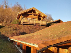 Chalet in lovely rich forest setting with a beautiful view La Bresse